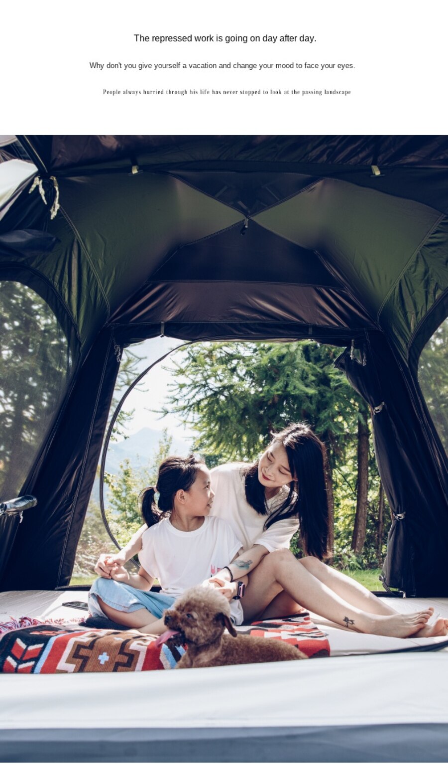 Cheap Goat Tents Automatic Pop
